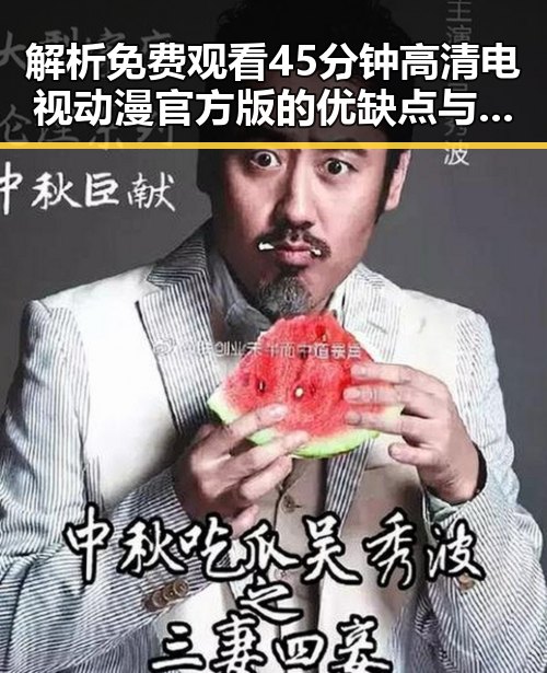 解析 免费观看45分钟高清电视动漫官方版的优缺点与选择指南
