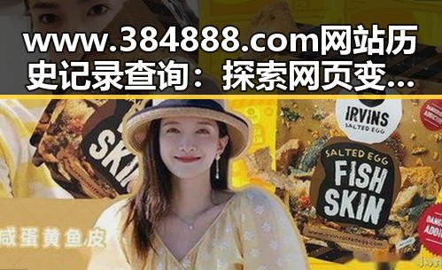 www.384888.com网站历史记录查询：探索网页变迁的关键工具