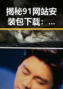 揭秘91网站安装包下载：安全与便捷的选择