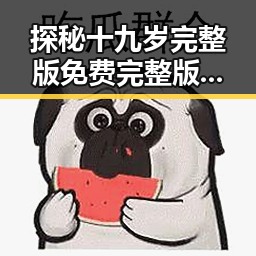 探秘十九岁完整版免费完整版：年轻人追求自由的真实写照