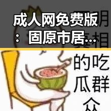 成人网免费版:固原市居民的新选择与网络娱乐的变化