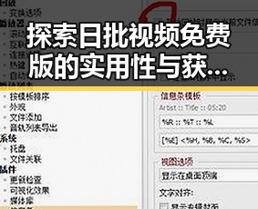 探索日批视频免费版的实用性与获取途径