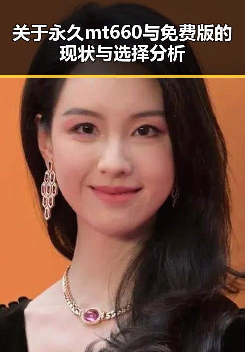 关于永久mt660与免费版的现状与选择分析
