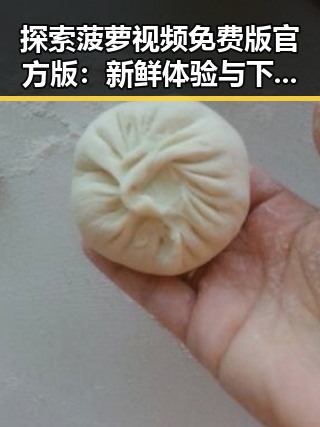 探索菠萝视频免费版官方版：新鲜体验与下载安装指南