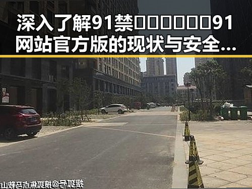 深入了解91禁🍆🍑🔞❌❌❌91网站官方版的现状与安全性分析