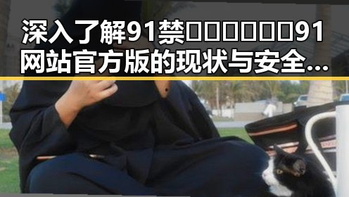 深入了解91禁🍆🍑🔞❌❌❌91网站官方版的现状与安全性分析