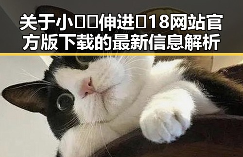 关于小🐔🐔伸进🈲18网站官方版下载的最新信息解析
