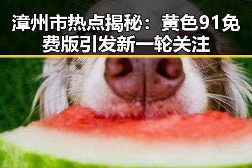 漳州市热点揭秘:黄色91免费版引发新一轮关注
