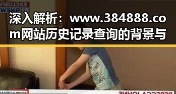 深入解析： www.384888.com网站历史记录查询的背景与应用