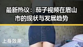 最新热议：茄子视频在眉山市的现状与发展趋势