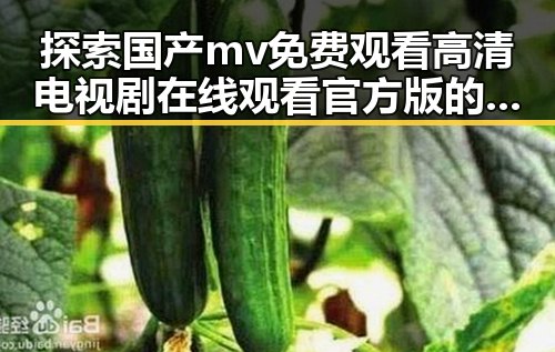 探索国产mv免费观看高清电视剧在线观看官方版的最新动态