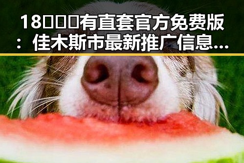 18❌❌❌有直套官方免费版：佳木斯市最新推广信息解析