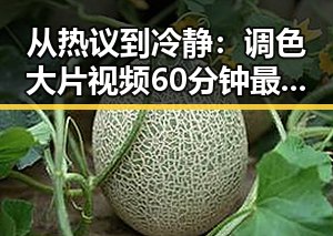 从热议到冷静：调色大片视频60分钟最新版下载的变化与反思