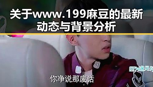 关于www.199麻豆的最新动态与背景分析