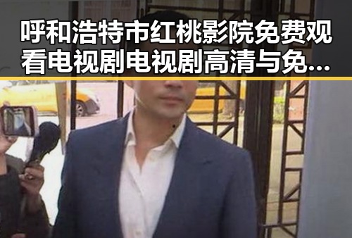呼和浩特市红桃影院免费观看电视剧电视剧高清与免费版全攻略