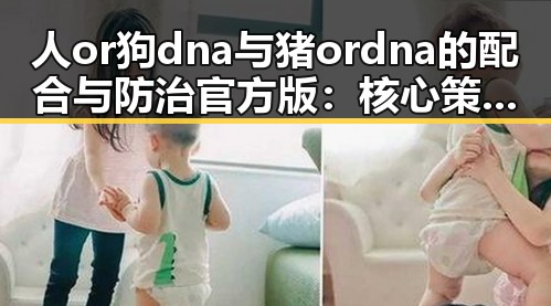 人or狗dna与猪ordna的配合与防治官方版：核心策略解析