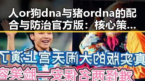 人or狗dna与猪ordna的配合与防治官方版：核心策略解析