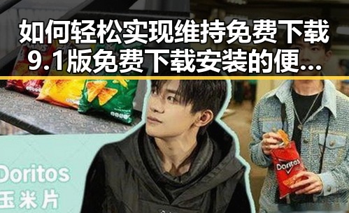 如何轻松实现维持免费下载9.1版免费下载安装的便捷体验