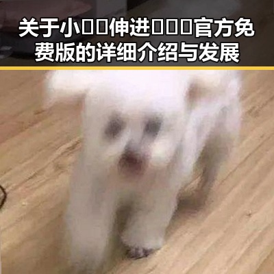 关于小🐔🐔伸进🈲🔞🔞官方免费版的详细介绍与发展