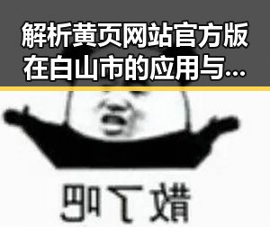 解析黄页网站官方版在白山市的应用与发展