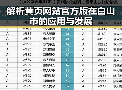 解析黄页网站官方版在白山市的应用与发展