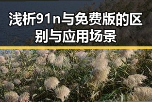 浅析91n与免费版的区别与应用场景