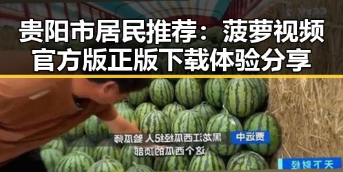 贵阳市居民推荐:菠萝视频官方版正版下载体验分享