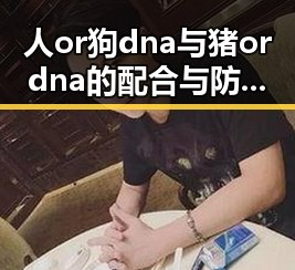 人or狗dna与猪ordna的配合与防治官方版下载:深入解读及应用