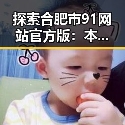 探索合肥市91网站官方版：本地资源的权威导航