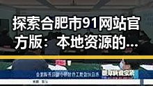 探索合肥市91网站官方版：本地资源的权威导航
