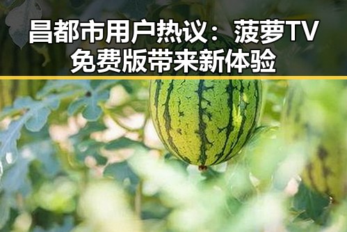 昌都市用户热议:菠萝TV免费版带来新体验
