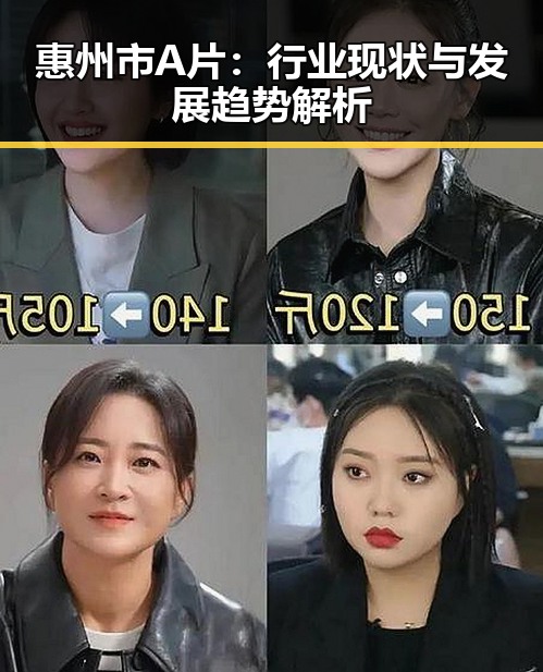 惠州市A片：行业现状与发展趋势解析