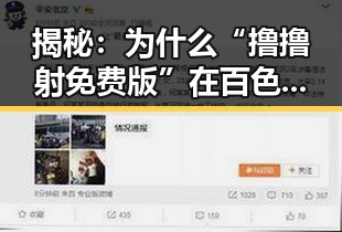 揭秘：为什么“撸撸射免费版”在百色市如此受欢迎？