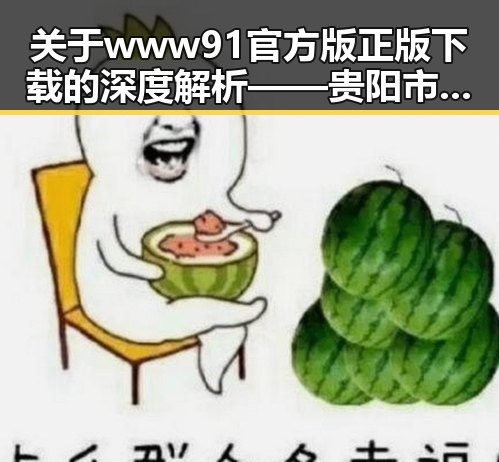 关于www91官方版正版下载的深度解析——贵阳市地区现状与趋势