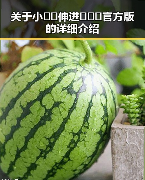 关于小🐔🐔伸进🈲🔞🔞官方版的详细介绍
