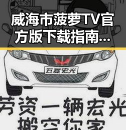 威海市菠萝TV官方版下载指南：畅享高清影视体验