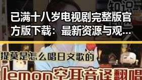 已满十八岁电视剧完整版官方版下载:最新资源与观看指南