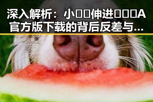 深入解析：小🐔🐔伸进🈲🔞🔞A官方版下载的背后反差与趋势