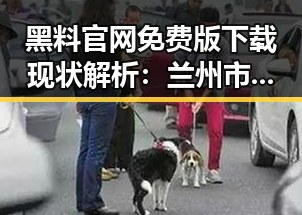 黑料 官网免费版下载现状解析:兰州市用户的最新动向