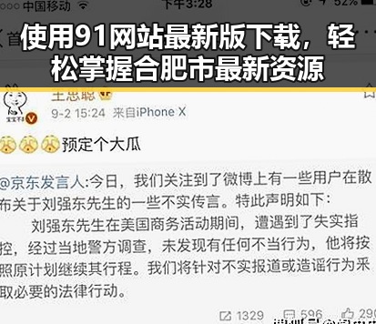 使用91网站最新版下载，轻松掌握合肥市最新资源