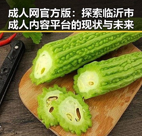 成人网官方版：探索临沂市成人内容平台的现状与未来