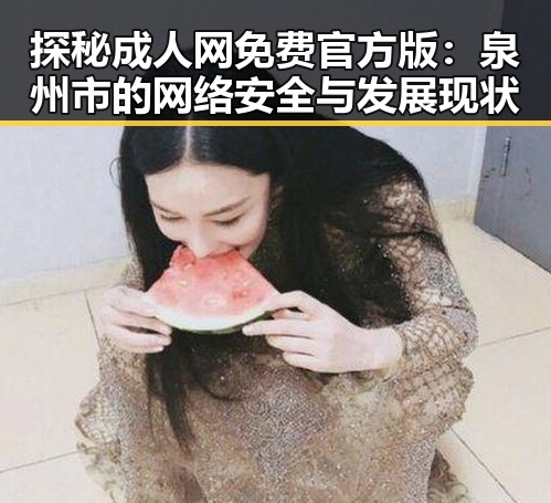 探秘成人网免费官方版:泉州市的网络安全与发展现状