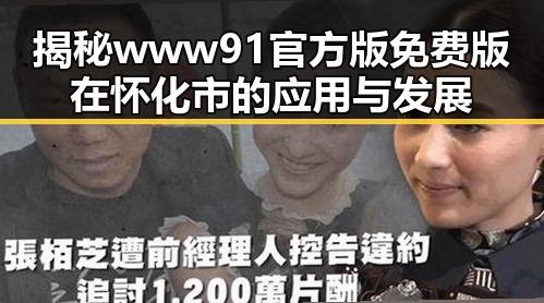 揭秘www91官方版免费版在怀化市的应用与发展