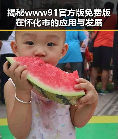 揭秘www91官方版免费版在怀化市的应用与发展