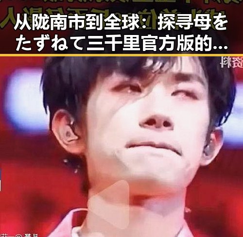 从陇南市到全球：探寻母をたずねて三千里官方版的文化传承与现代意义