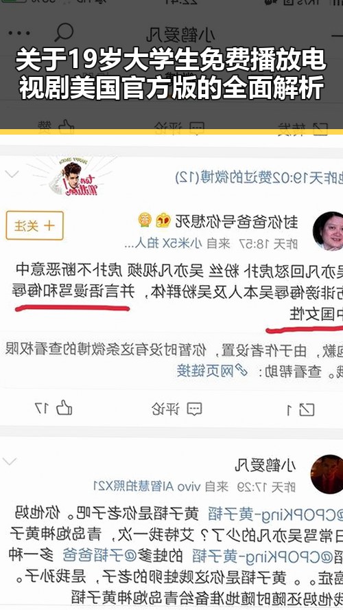 关于19岁大学生免费播放电视剧美国官方版的全面解析