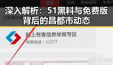 深入解析:51黑料与免费版背后的昌都市动态