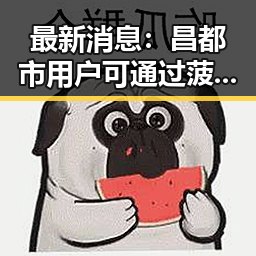 最新消息：昌都市用户可通过菠萝TV免费版下载畅享精彩内容