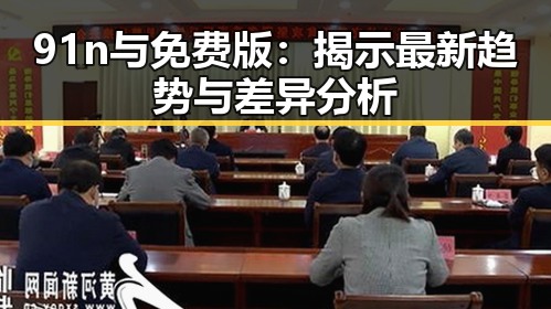 91n与免费版：揭示最新趋势与差异分析