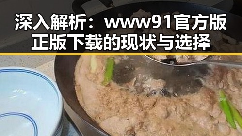 深入解析：www91官方版正版下载的现状与选择